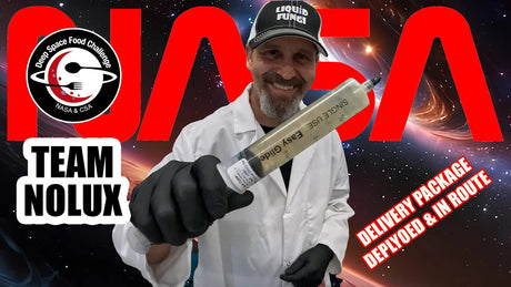 nasa science projects, astromycology research, gravity testing, blue oyster mushrooms, space substrate