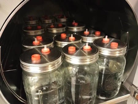 mushroom jar lids, plastic vs. stainless steel, one piece metal jar lids for mushroom cultivation liquid culture grain spawn