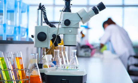 Getting Started with Microscopy in Mycology: A Beginner's Guide