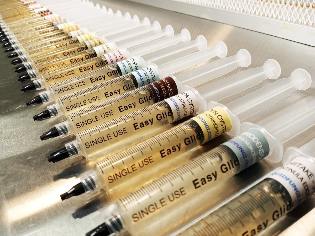 Mushroom Liquid Culture Syringes - Liquid Fungi