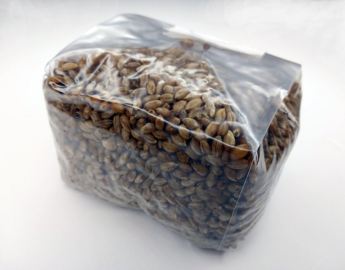 sterilized mushroom grain bags and supplemented hardwood substrate blocks