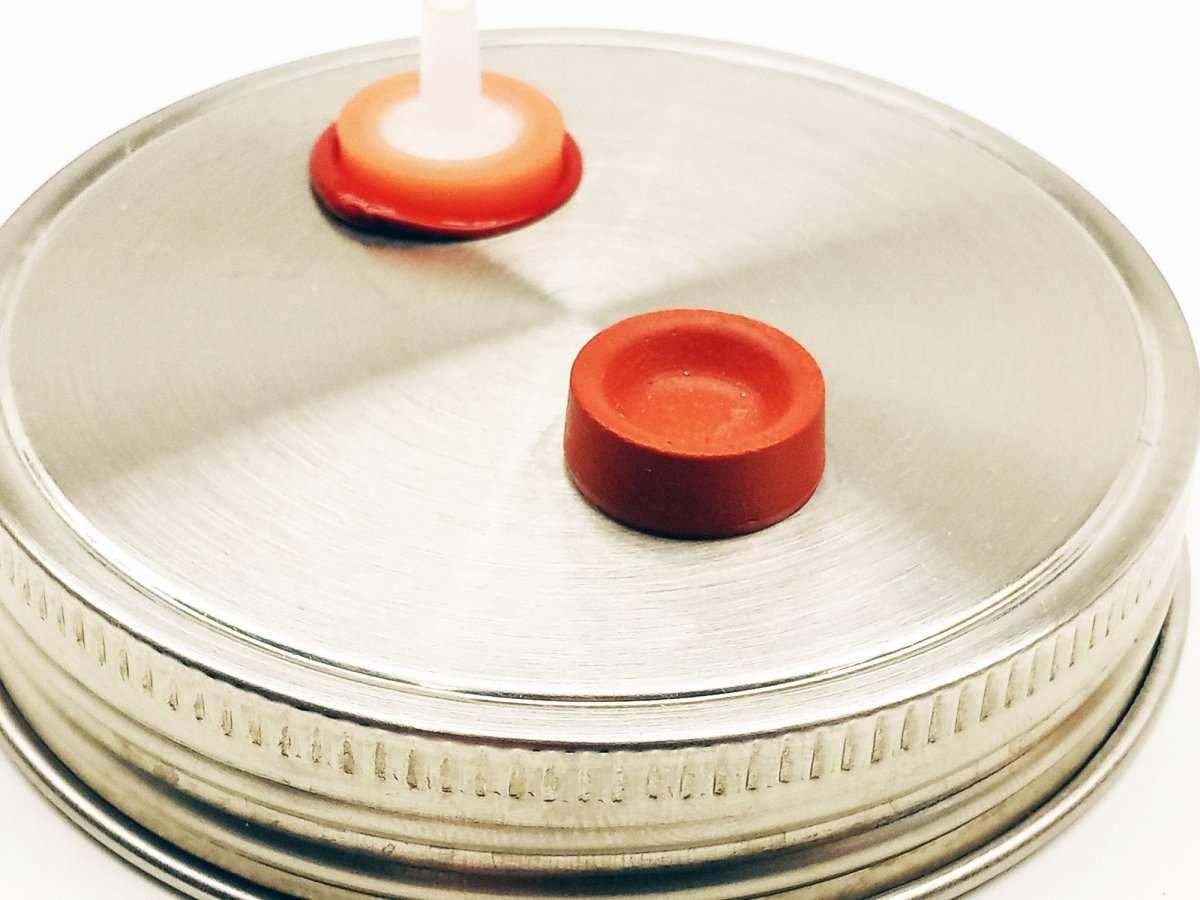 one piece 304 stainless steel mushroom liquid culture lid for wide mouth ball jars