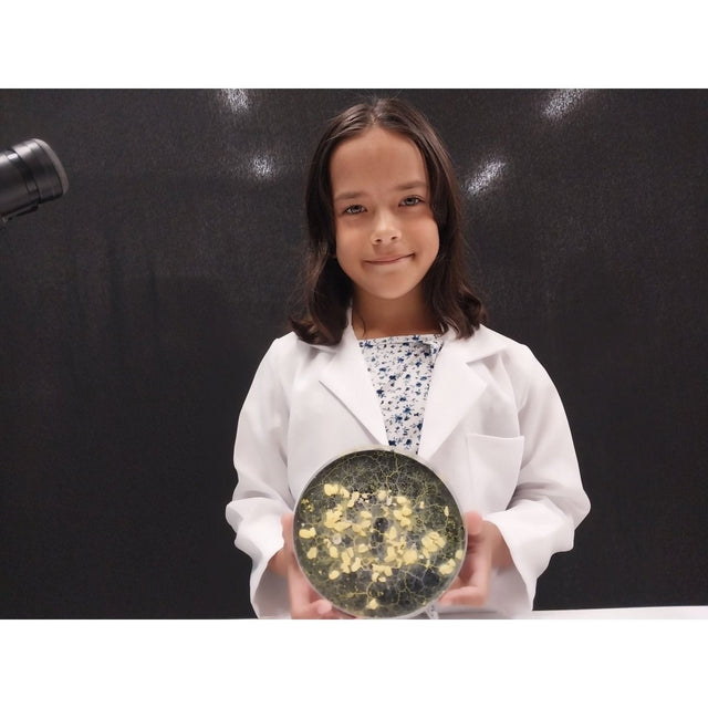 science project kits, cool science fair projects, stem kits, stem experiment kits, classroom supplies, science fair