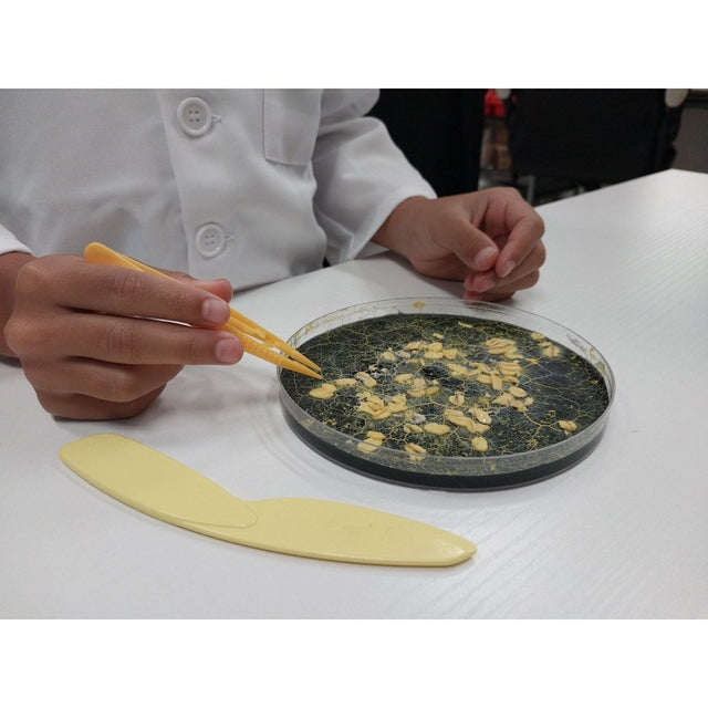 teacher science kits, science experiments, easy science experiments, classroom science kits, experiment kits, at home science