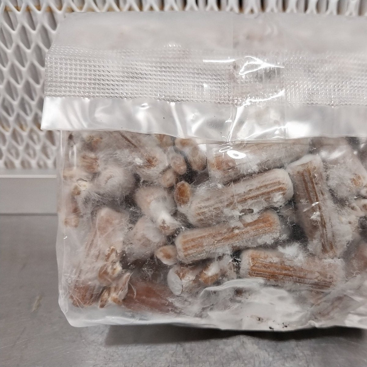 Shiitake Mushroom Plug Spawn Dowels (100)