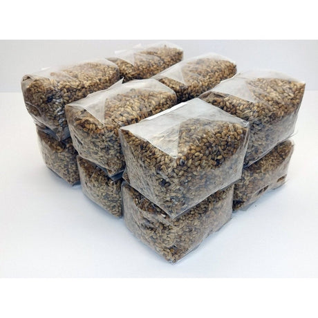 sterilized rye grain twelve pack ready to inoculate