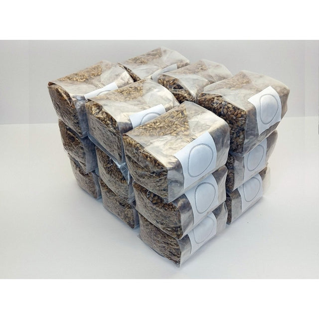 18 pack of hydrated and sterilized mushroom substrate bags for making grain spawn