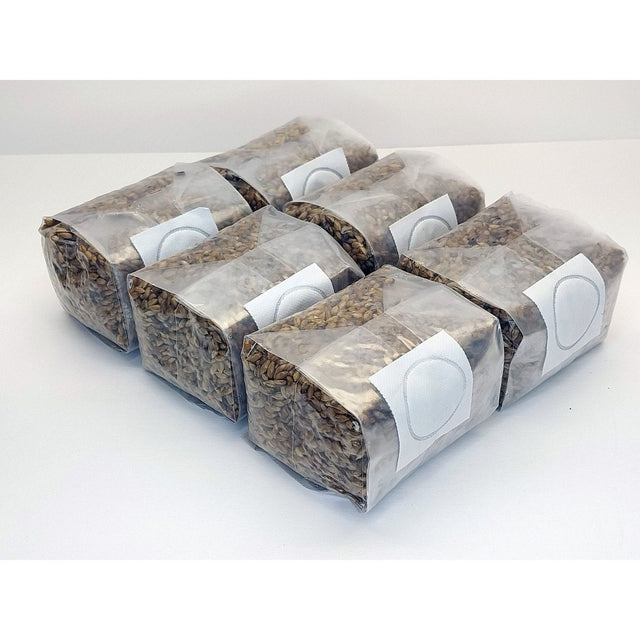 grain mushroom bags six pack in autoclavable bags pressure cooker safe