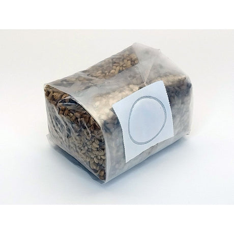 sterilized rye berry bag for mushroom growing with filter patch