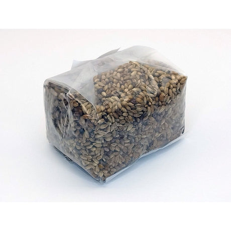 mushroom grain bag for growing grain spawn for bulk substrate inoculation