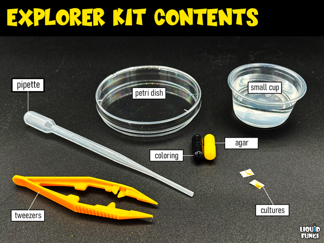 Explorer Slime Mold Science Kit - Physarum polycephalum