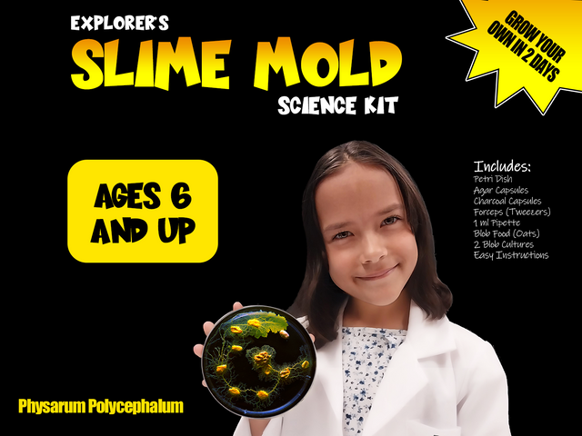 Explorer Slime Mold Science Kit - Physarum polycephalum
