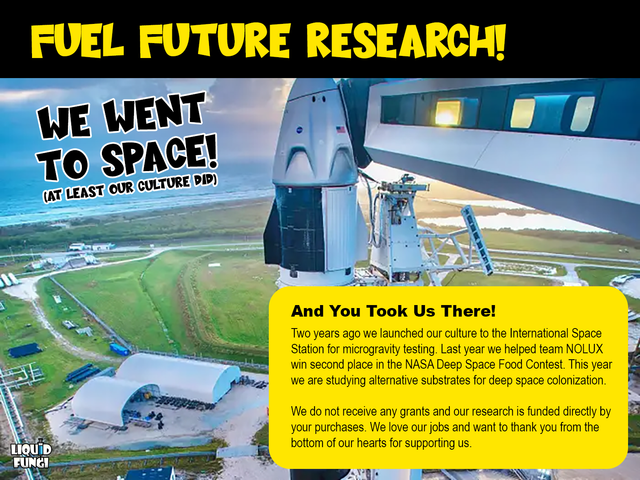 Explorer Slime Mold Science Kit - Physarum polycephalum