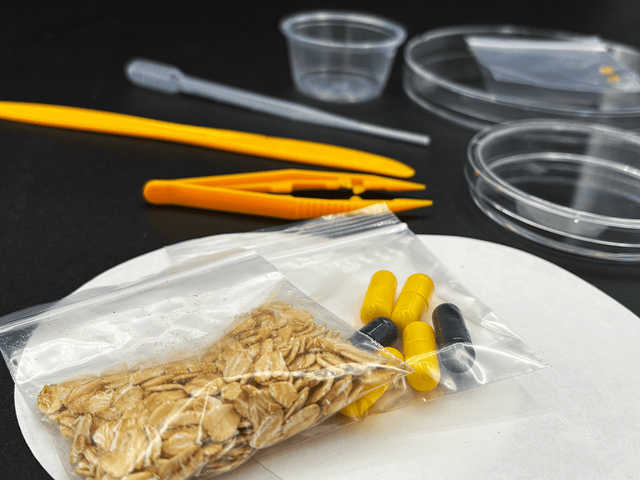 science kits, physarum polycephalum, science classroom projects, science project, kit science, science fair projects, science