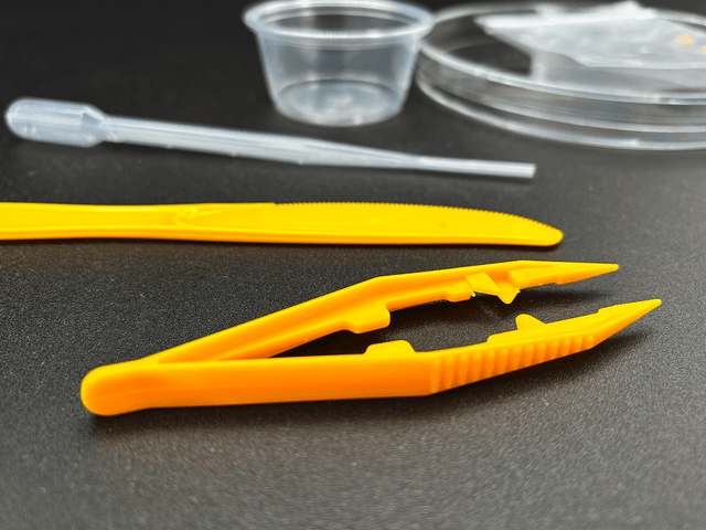 experiments, at home science experiments, citizen science, science toys, slime mold kit, teacher science kit