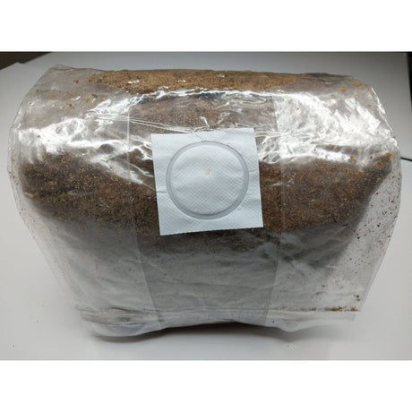 front of mushroom master mix mushroom block with breathable filter