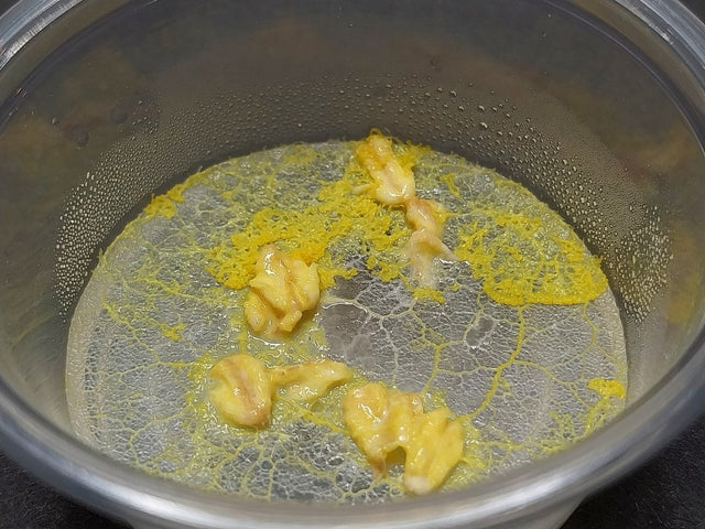 mini slime mold, physarum polycephalum, homeschool experiments, easy science fair projects, science class, stem science