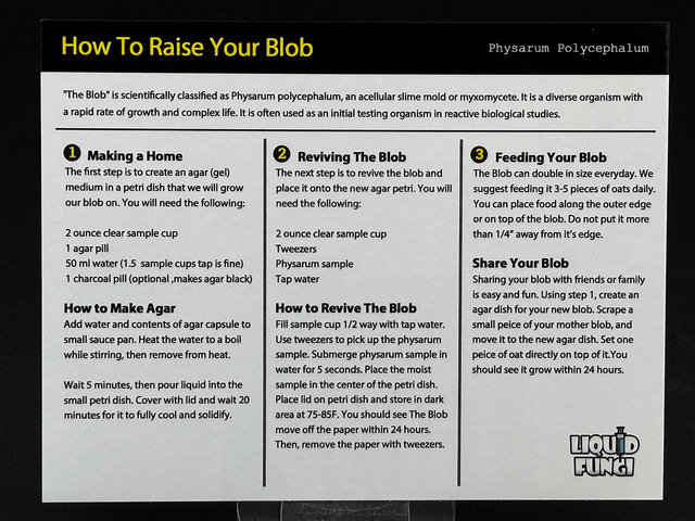 at home science experiments, citizen science, science toys, slime mold kit, teacher science kits, science experiments