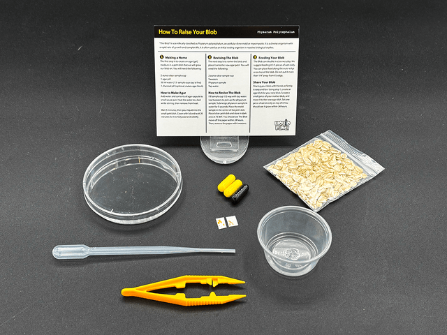 experiment kit, science experiment kits, buy physarum polycephalum, slime science, slime science kit, science project