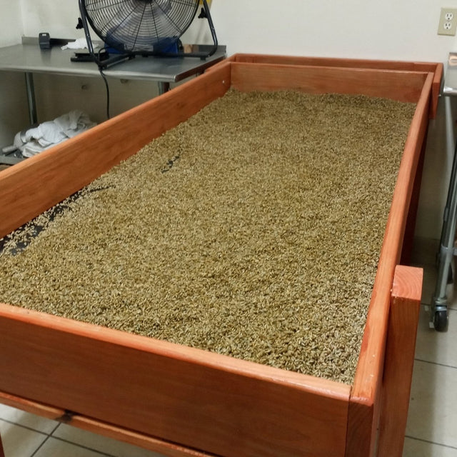 mushroom grain bagging table