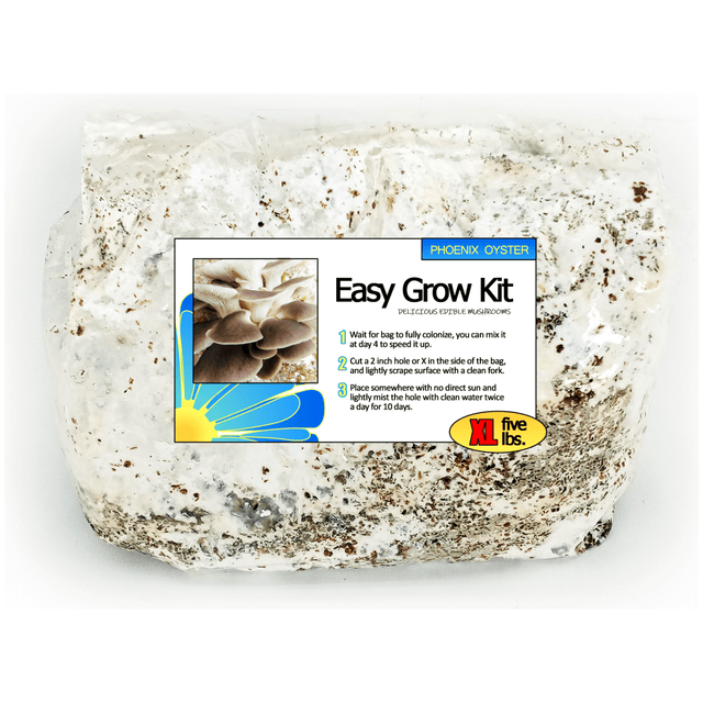 Italian Oyster Easy Mushroom Grow Kit