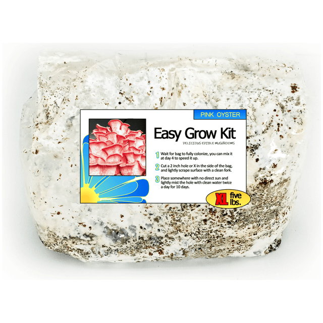 Pink Oyster Easy Mushroom Grow Kit