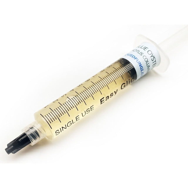 blue oyster mushroom liquid culture