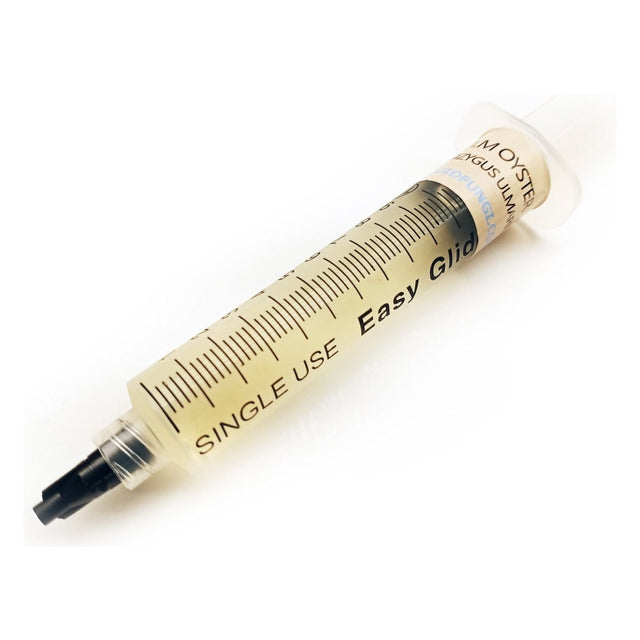 elm oyster mushroom liquid culture