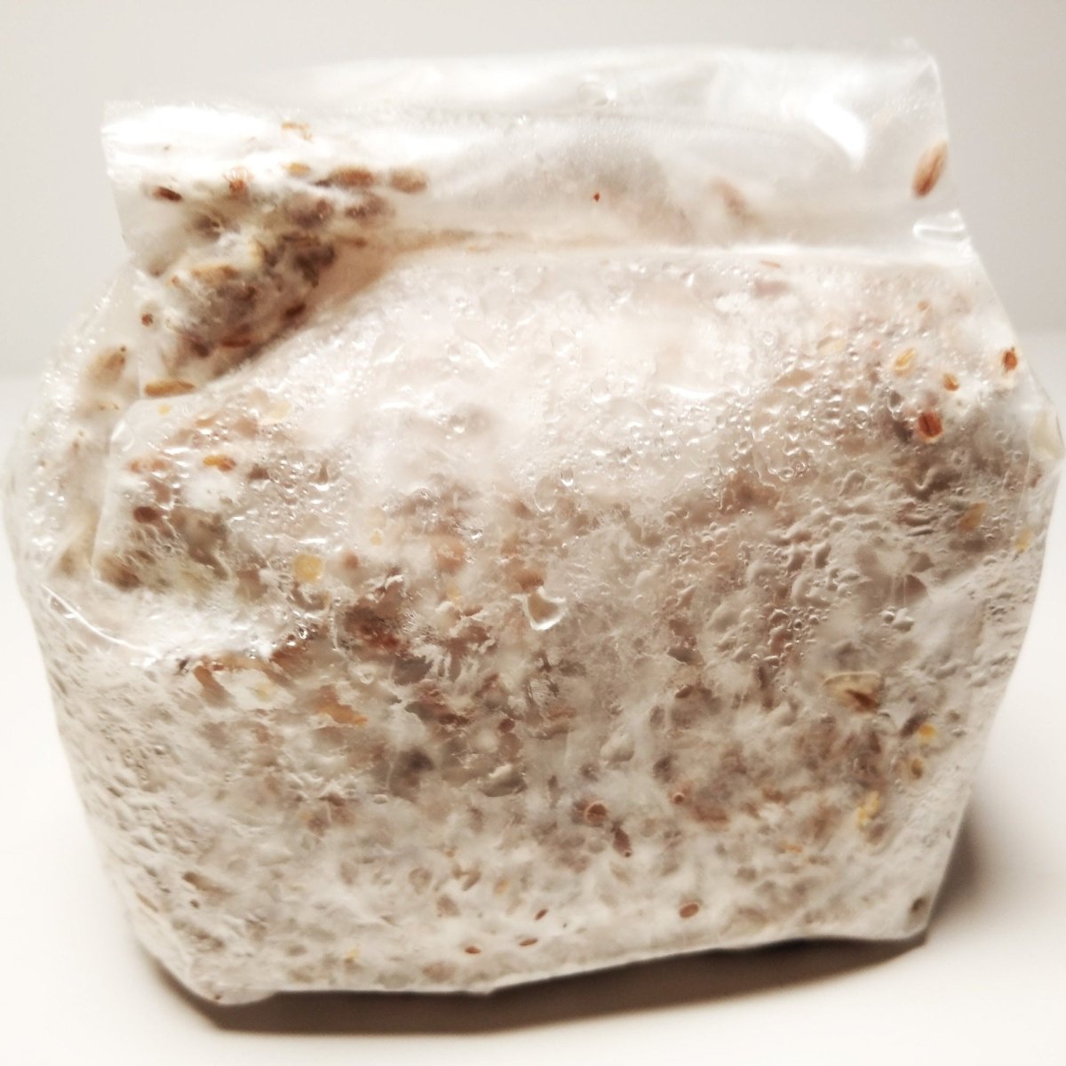 enokitake mushroom grain spawn bag