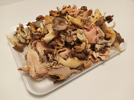 dried mushrooms survival super food