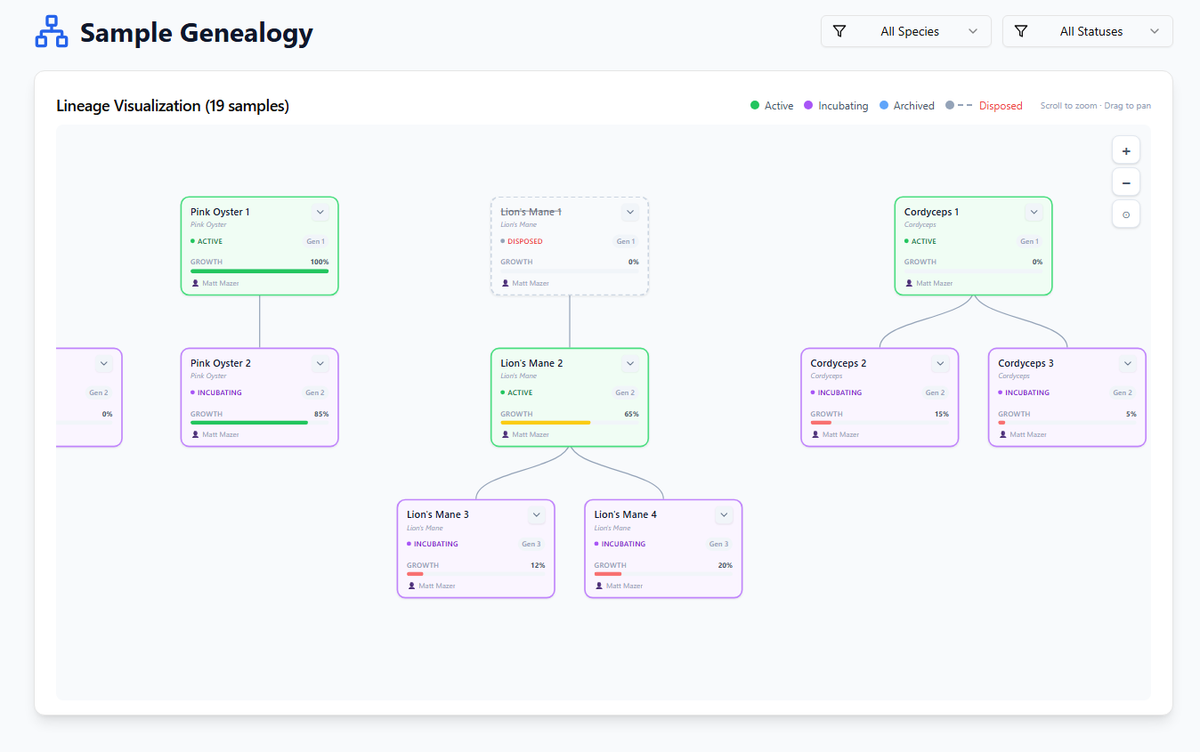 Hands Down the Best Ever!