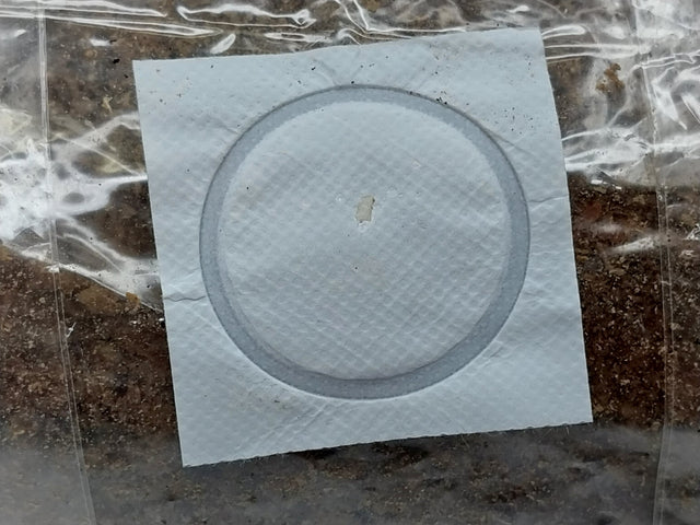 breathable filter patch on an autoclavable mushroom grow bag