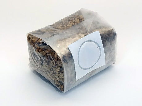 sterilized rye berry bag for mushroom growing with filter patch