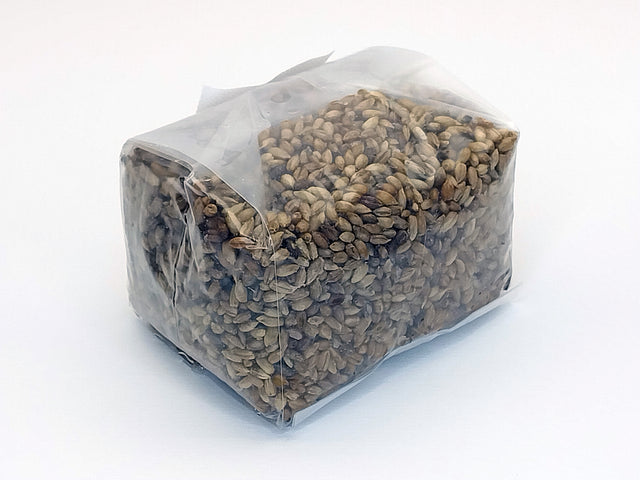 6 x 1 lb. Sterilized Rye Berries Mushroom Substrate for Grain Spawn