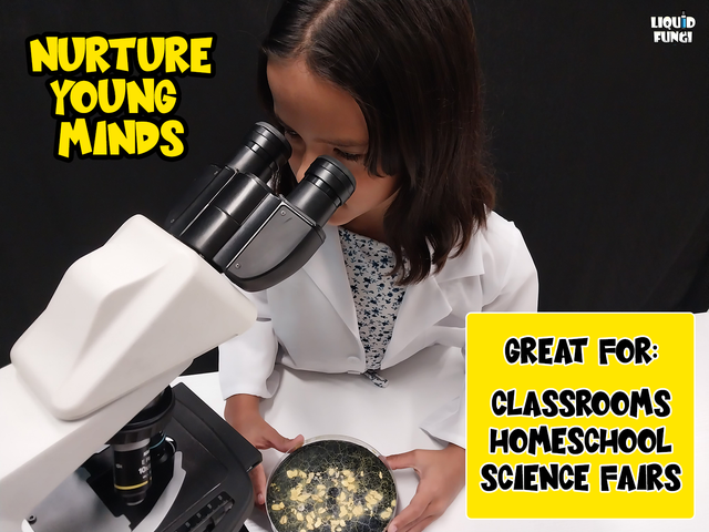 Explorer Slime Mold Science Kit - Physarum polycephalum