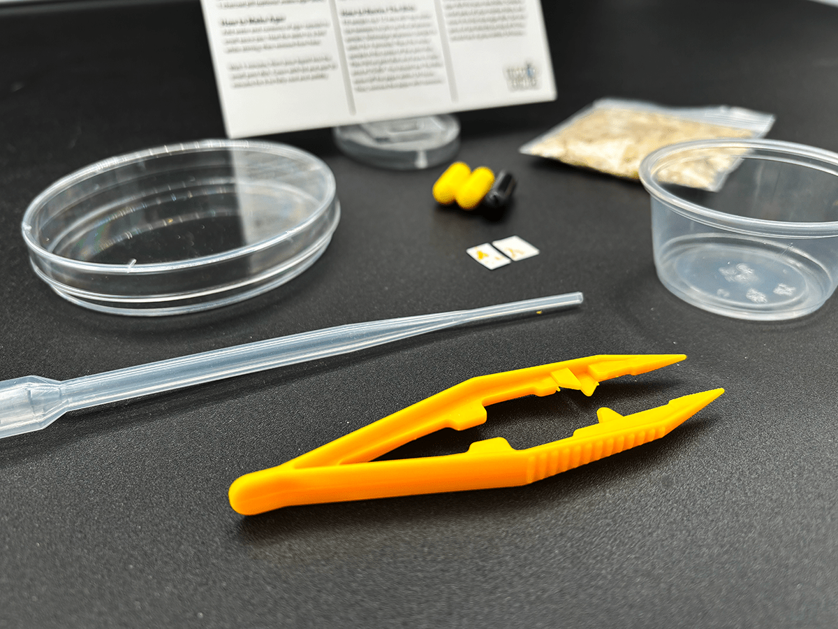 science kits, physarum polycephalum, science classroom projects, science project, kit science, science fair projects