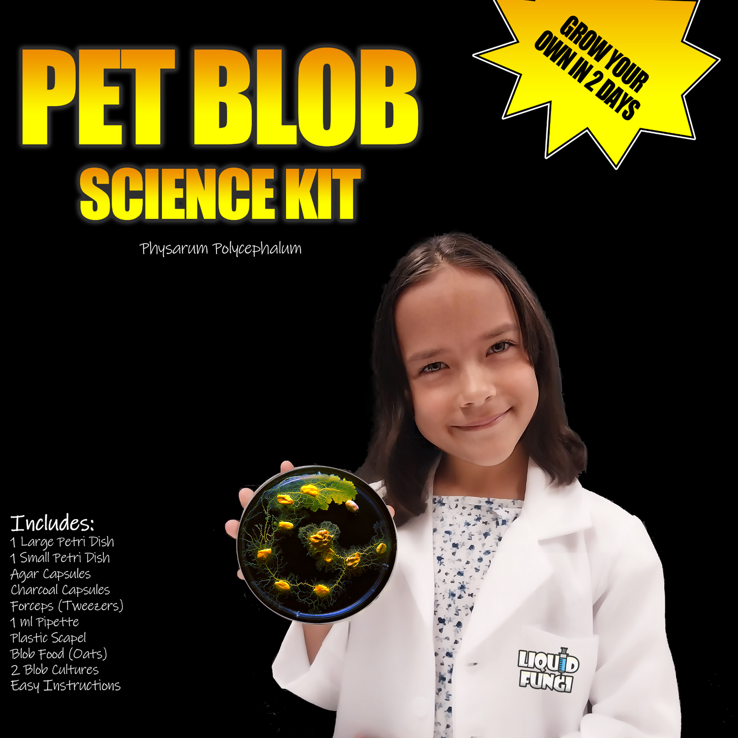 Advanced Pet Blob Science Kit (Physarum Polycephalum) – Liquid Fungi