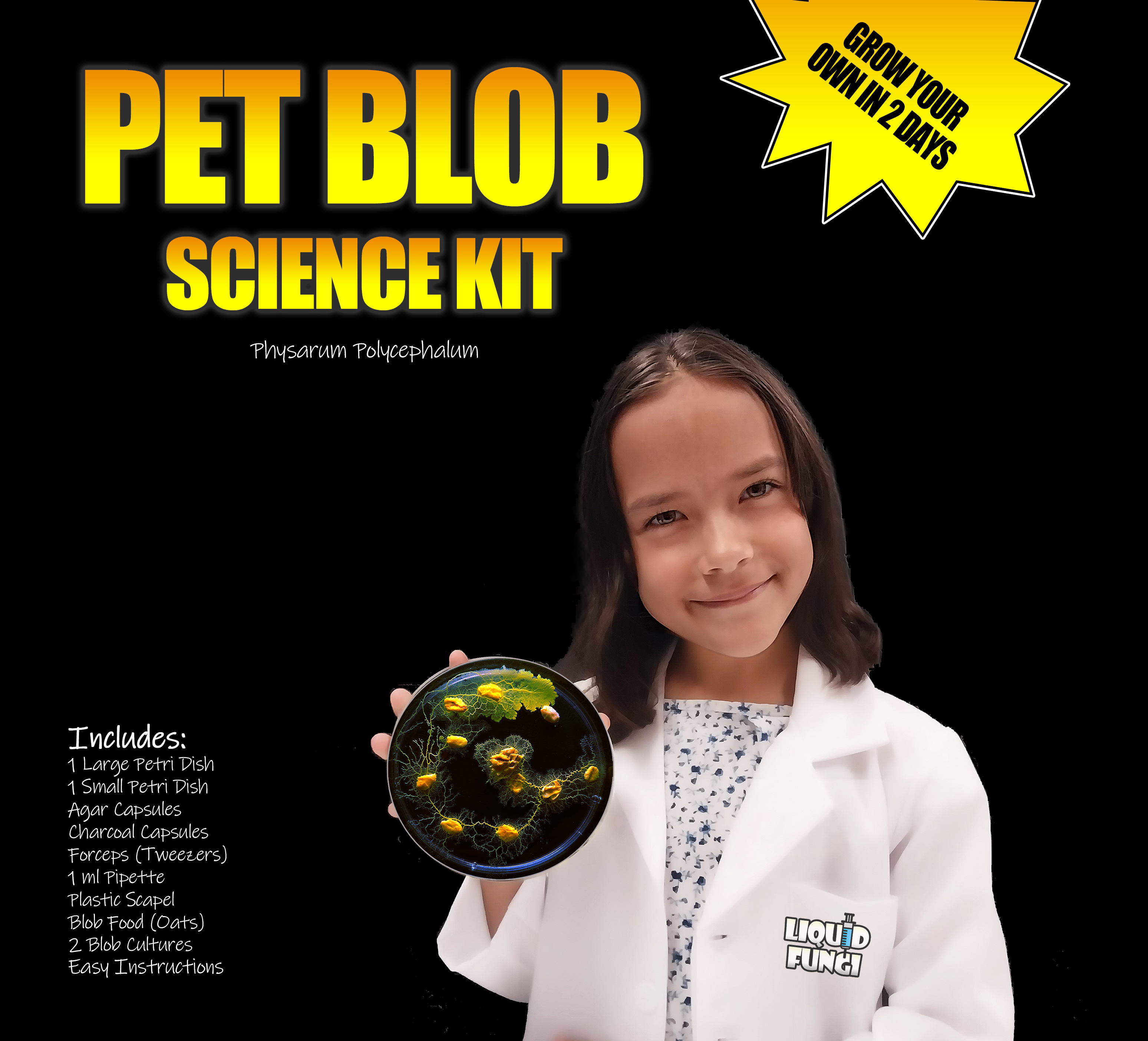 Advanced Pet Blob Science Kit (Physarum Polycephalum)