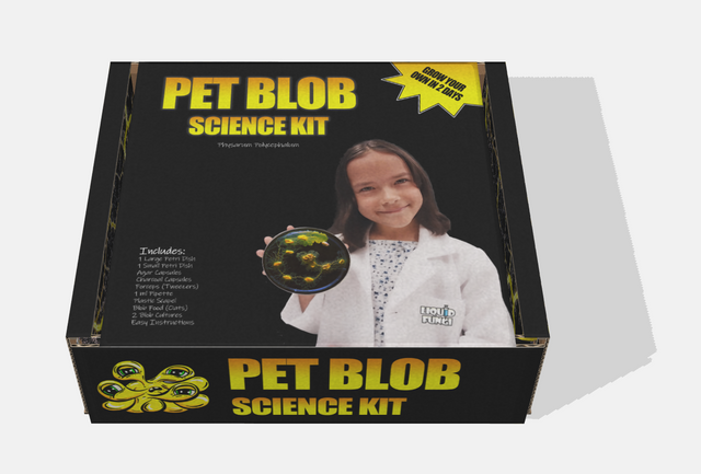 Kit Blob - Kit Blob vivant - Kit de culture et d'élevage BLOB (Physarum  polycephalum) - 2 Sclérotes (SOUCHE CHARLY) - Kit Blob vivant avec GUIDE -  Kit achat Blob - Blob