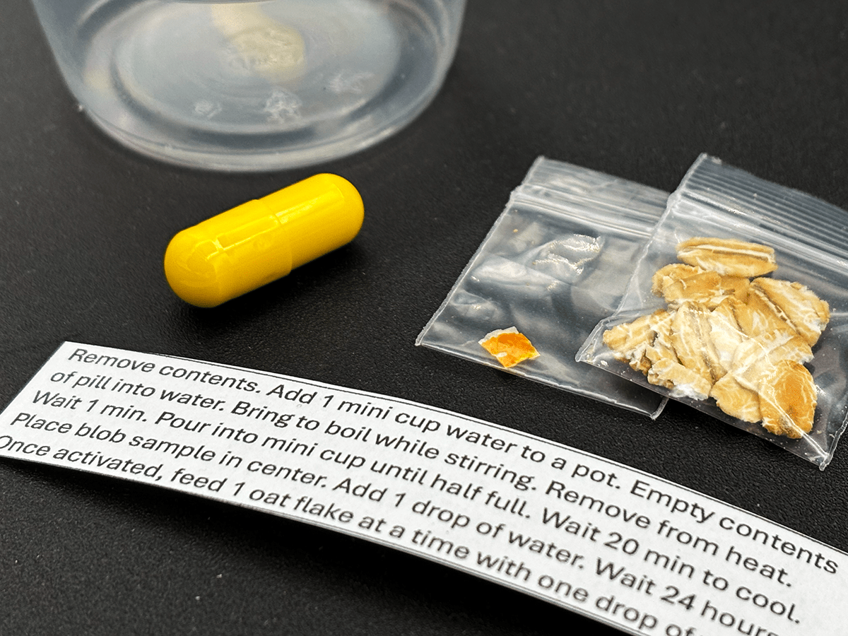 stem experiment kits, classroom supplies, science fair experiments, at home science experiments, citizen science, science toy