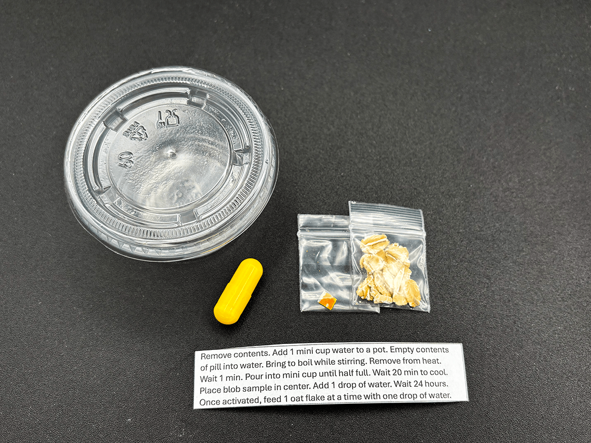 living slime, mini kit, kids science, experiment, physarum polycephalum, science classroom projects, science project