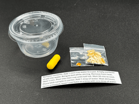 Physarum polycephalum, slime mold, science experiment, experiment kit, science experiment kits, buy physarum polycephalum