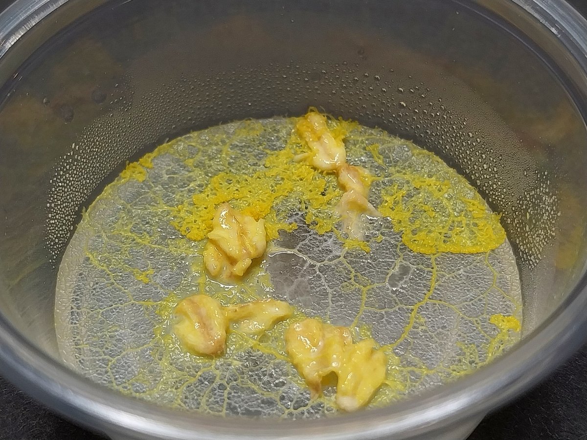 mini slime mold, physarum polycephalum, homeschool experiments, easy science fair projects, science class, stem science