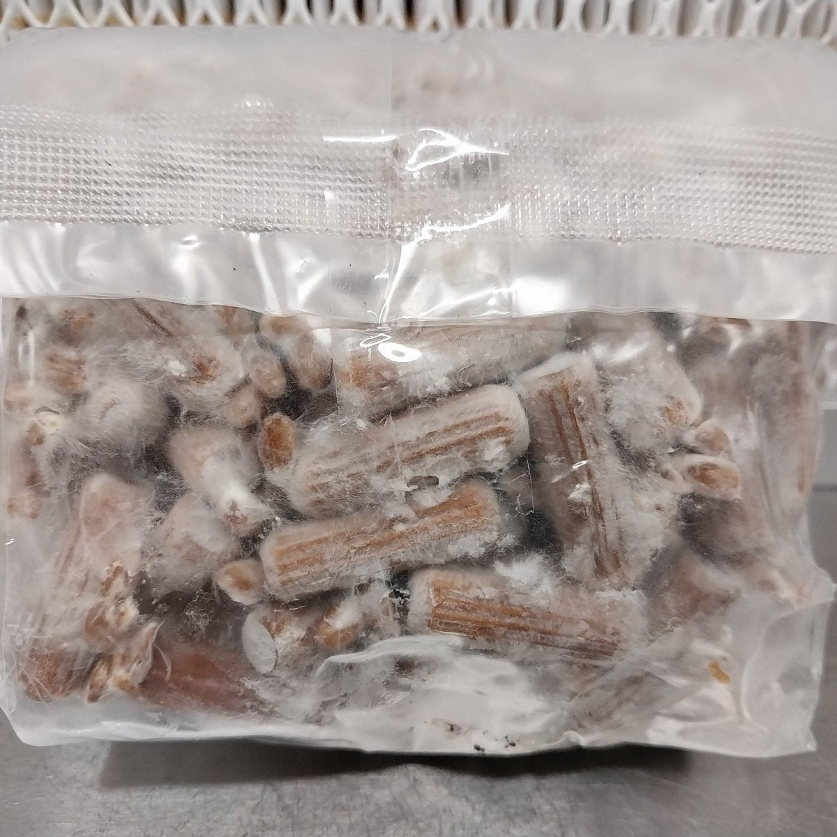 how to grow hen of the woods outdoors, maitake mushroom plug spawn for logs, hen of the woods log cultivation kit