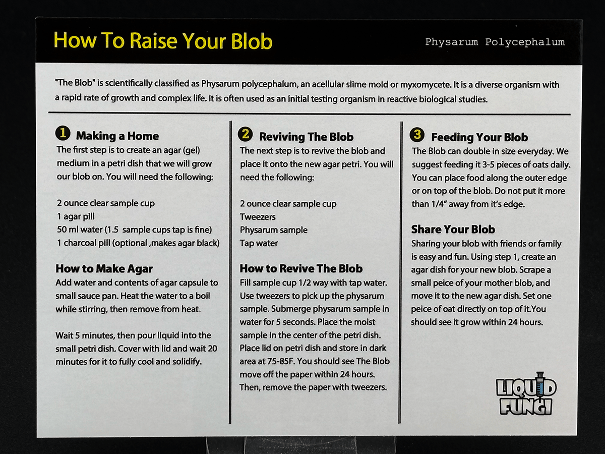 at home science experiments, citizen science, science toys, slime mold kit, teacher science kits, science experiments