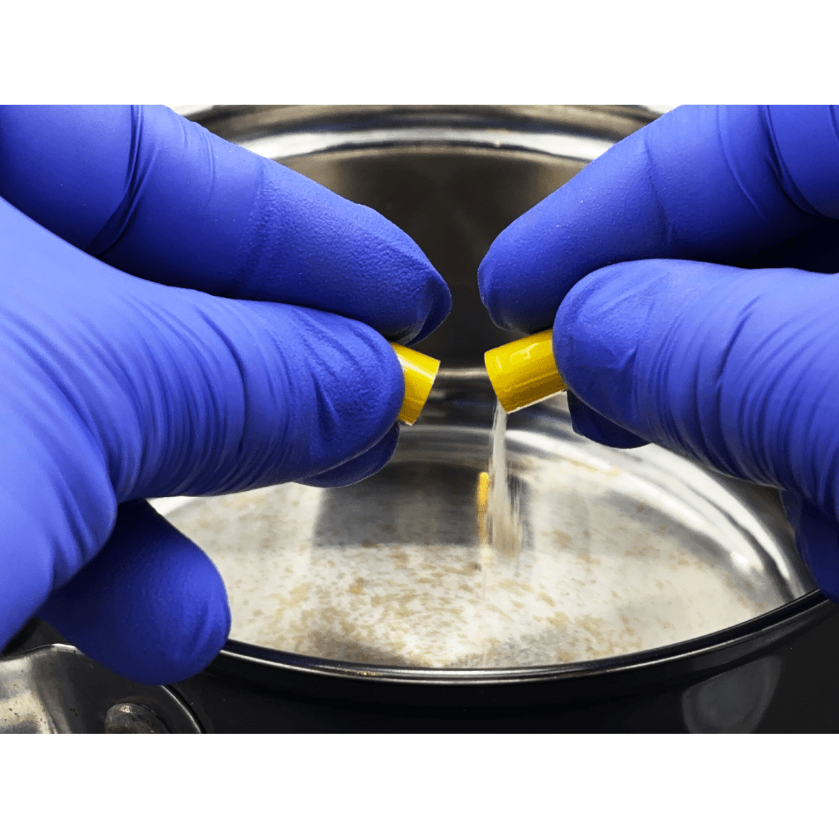 slime mold blob kit open yellow pill