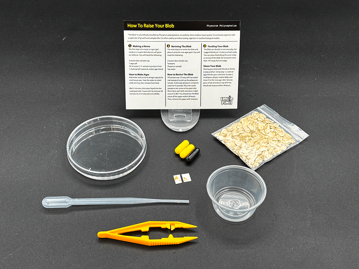 experiment kit, science experiment kits, buy physarum polycephalum, slime science, slime science kit, science project