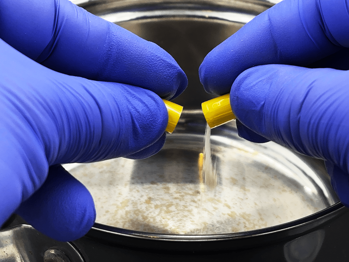 slime mold sclerotia sample, science experiments, easy science experiments, classroom science kits, experiment kits, blob kit