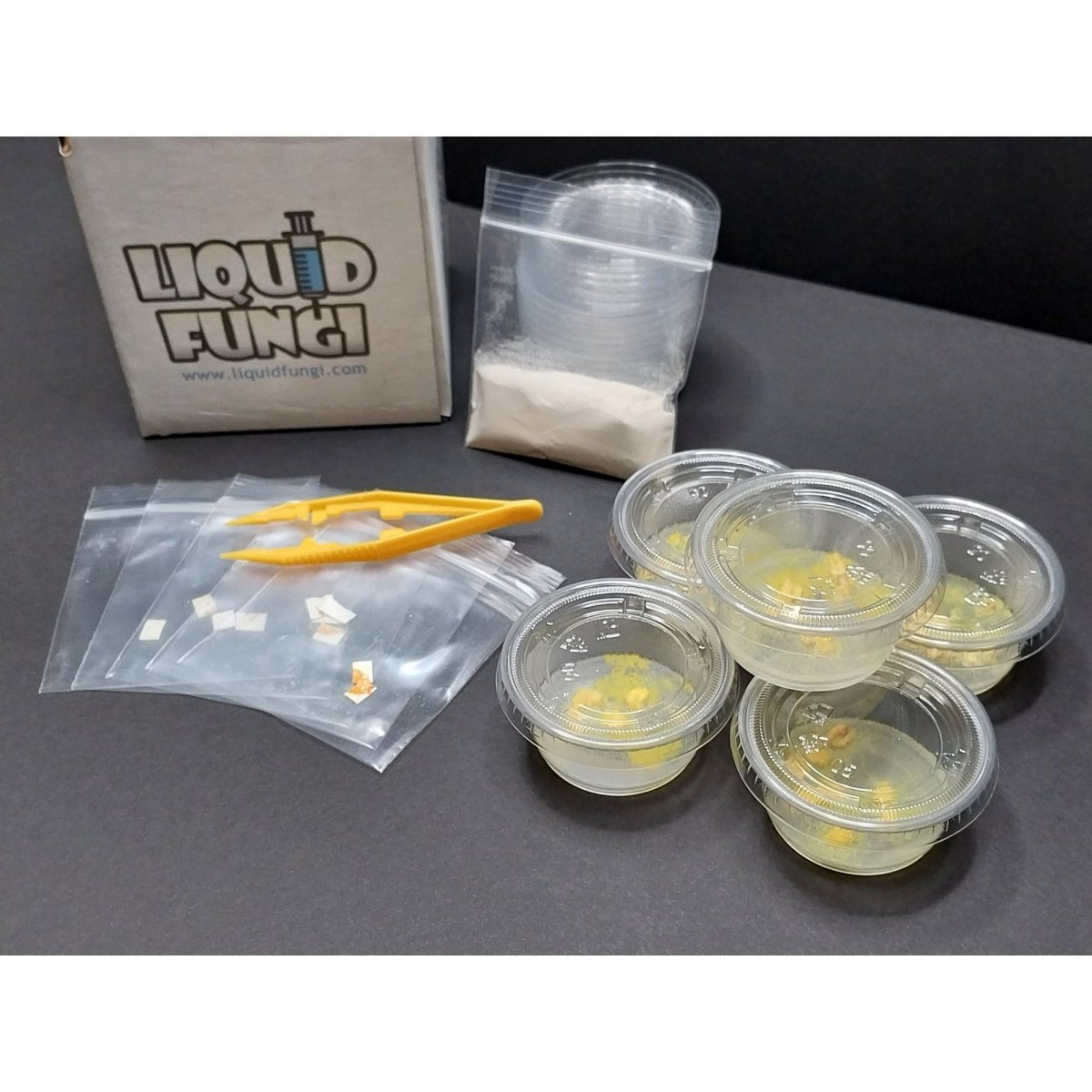 slime mold experiment, living blob, educator, teacher kit, science fair projects, science fair, science project kits