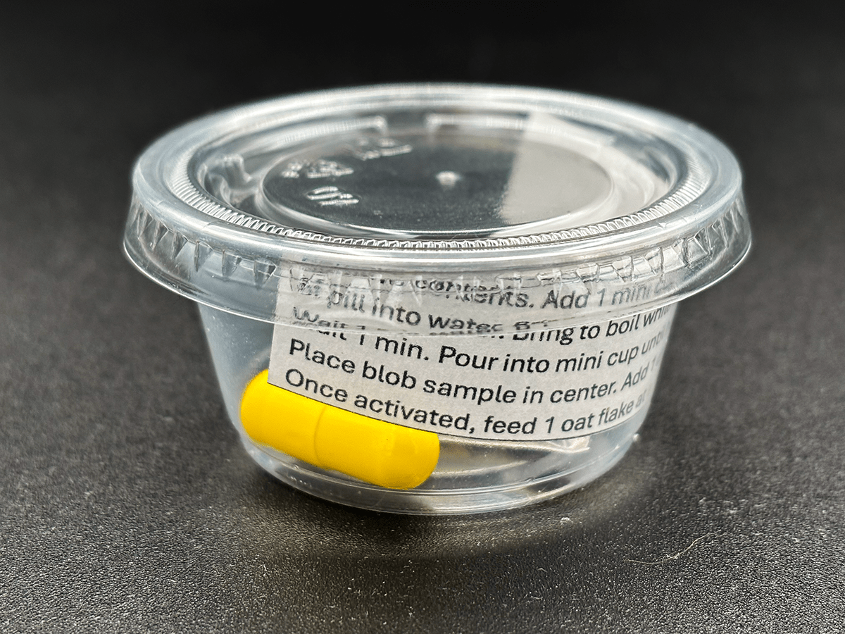 the blob science kit, homeschool experiment, slime mold kit, teacher science kits, science experiments, class science kits